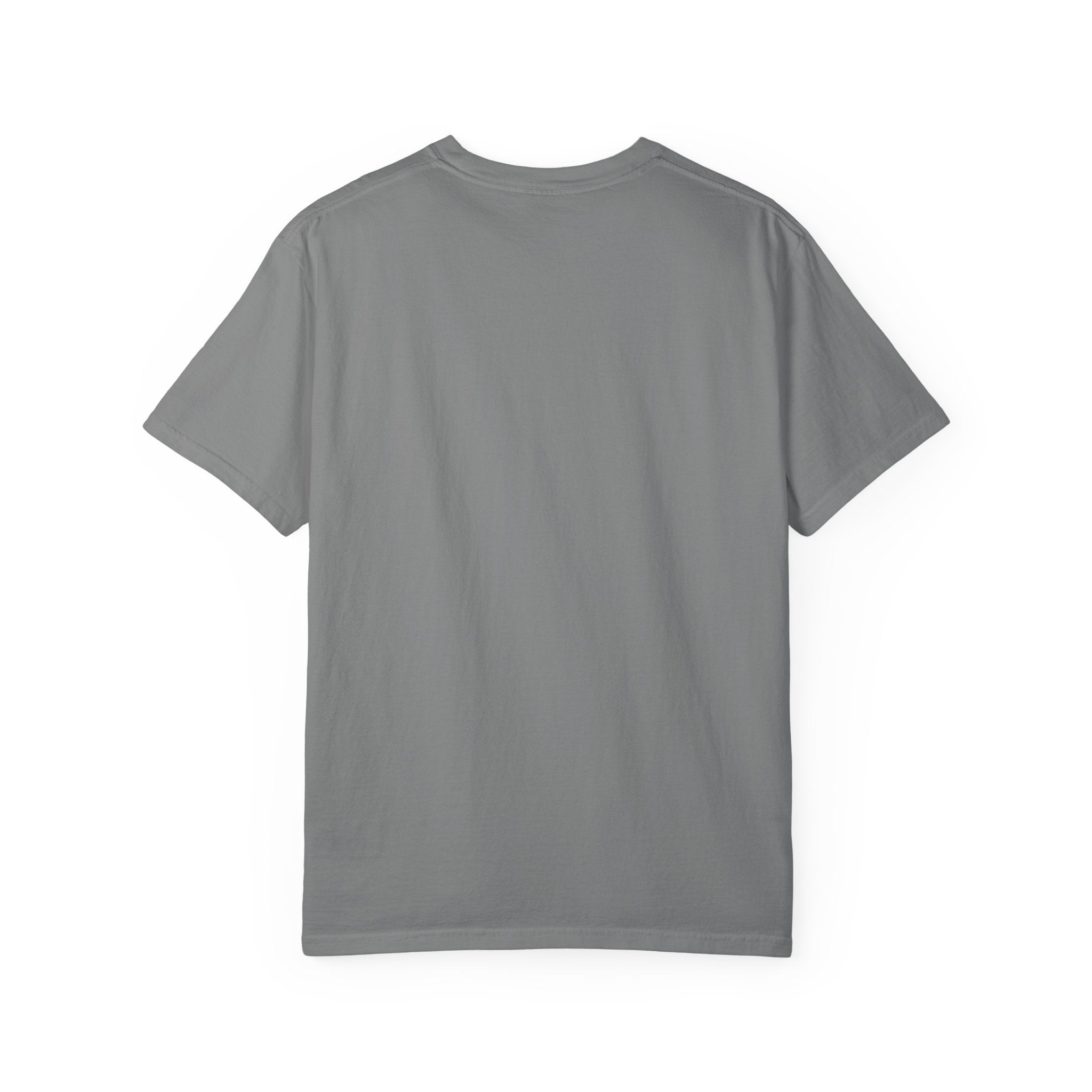 Crazy Cat Lady T-Shirt — Cute Black Cat Graphic Tee